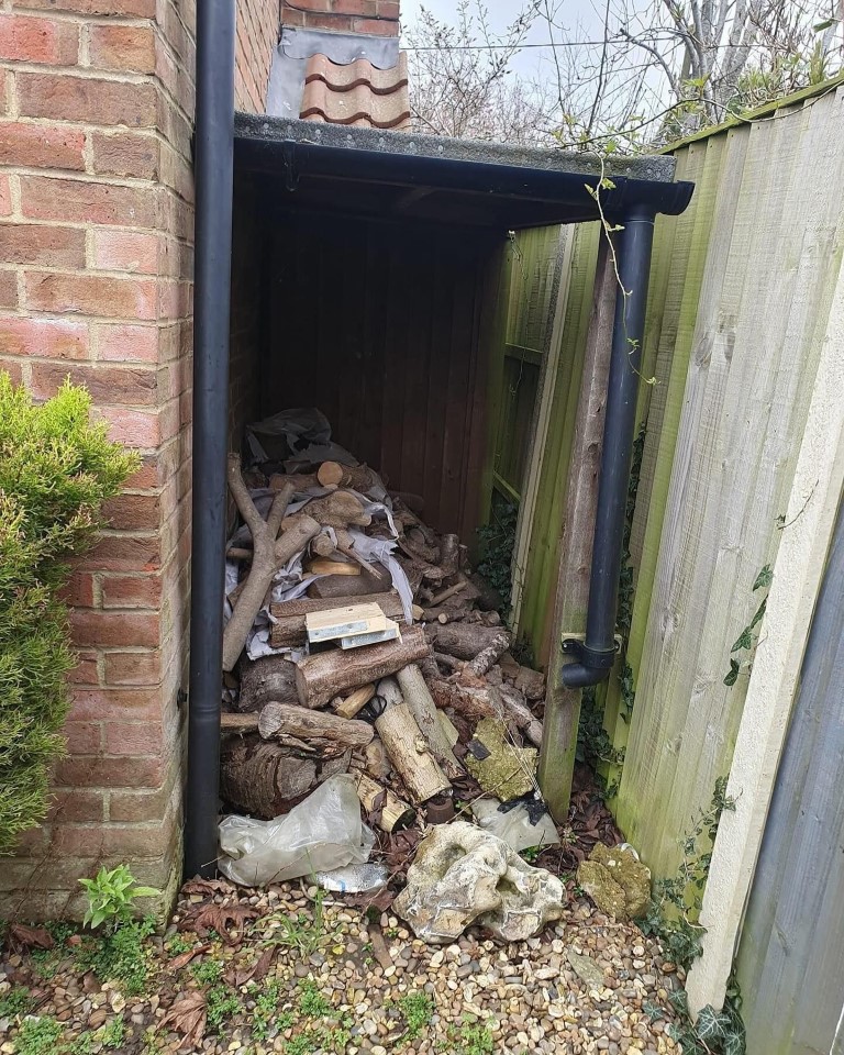 Before Image