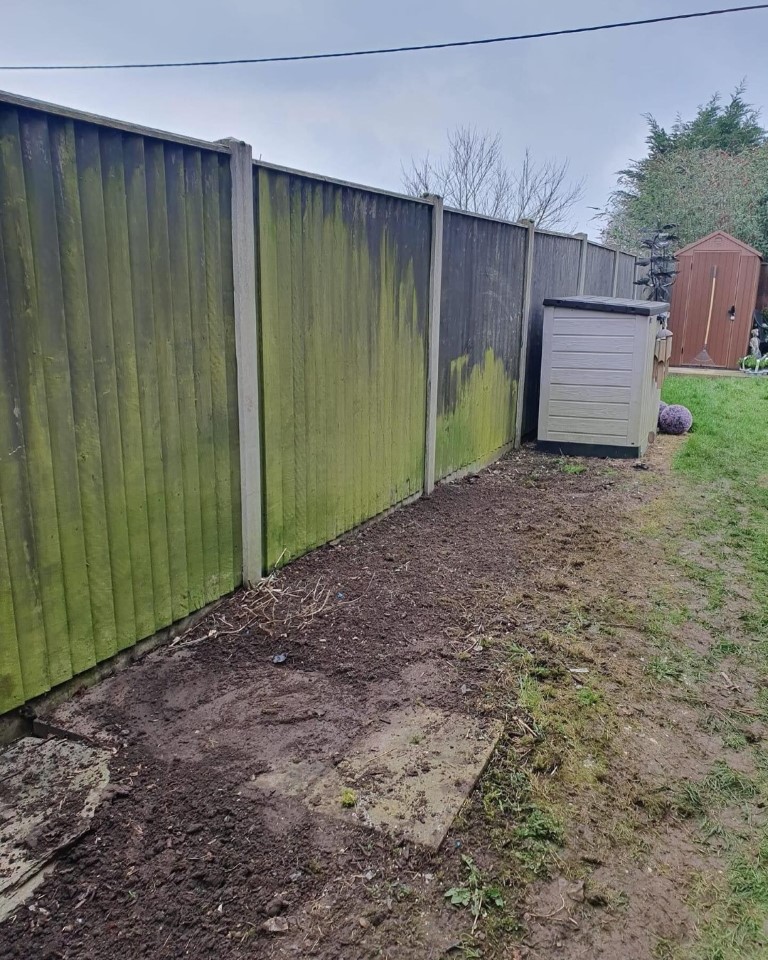 Before Image