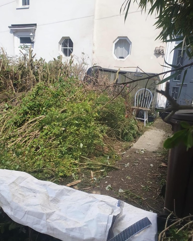 Before Image
