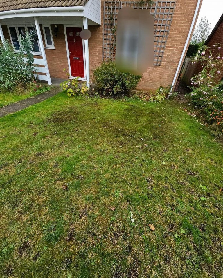 After Image