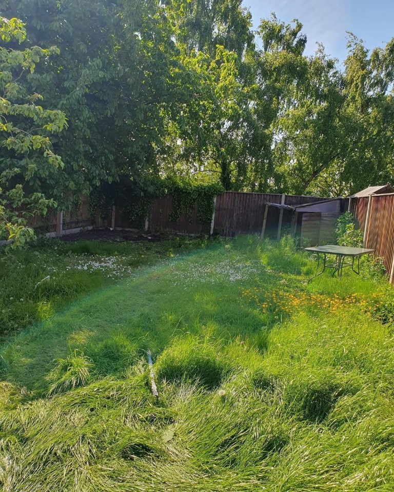 Before Image