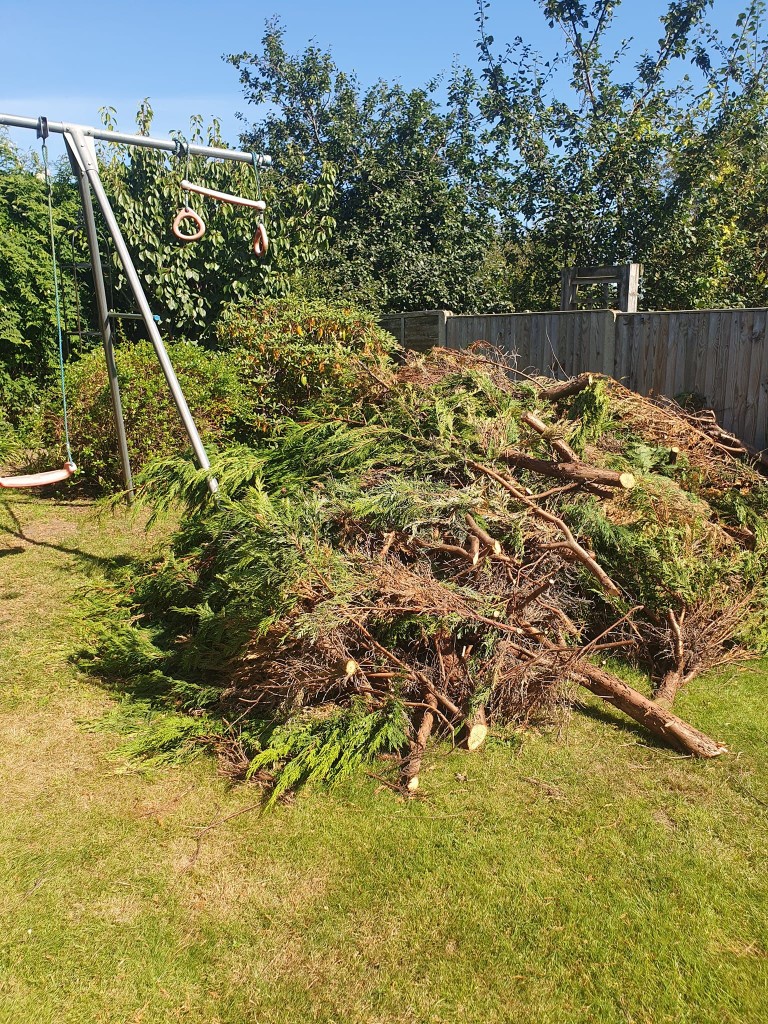 Before Image