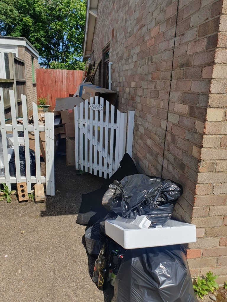 Before Image