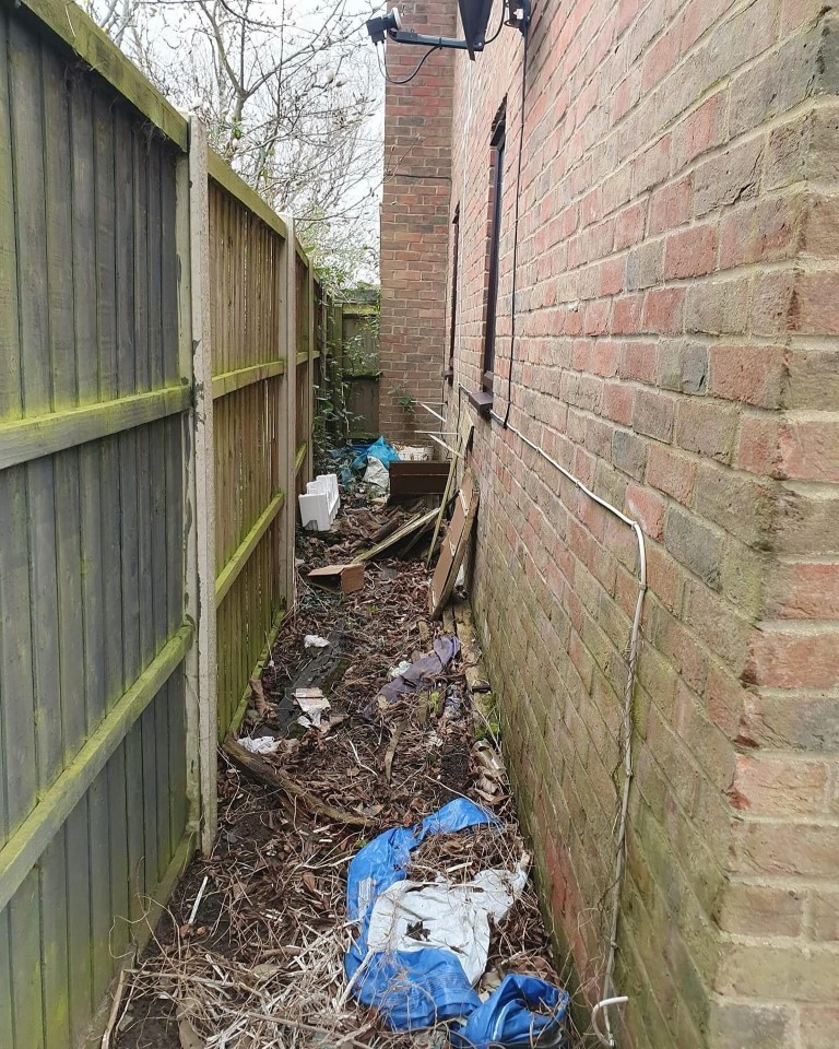 Before Image