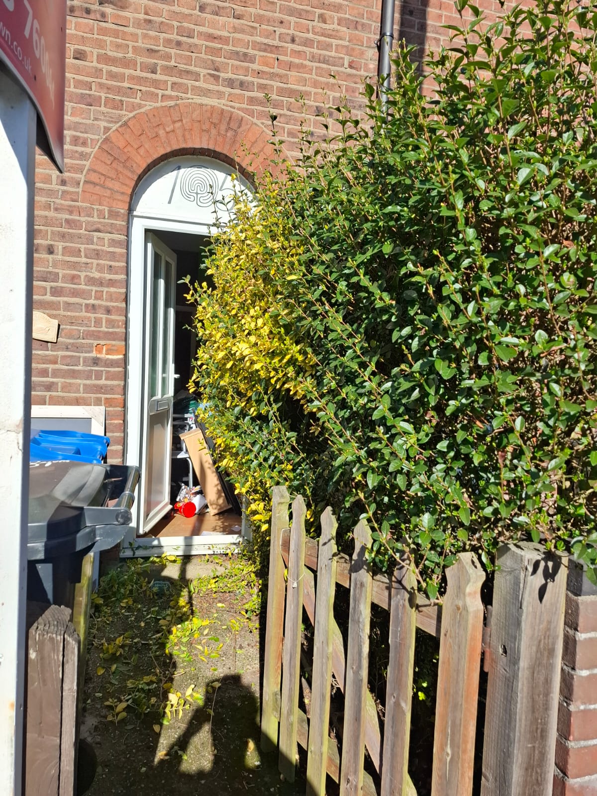 Before Image