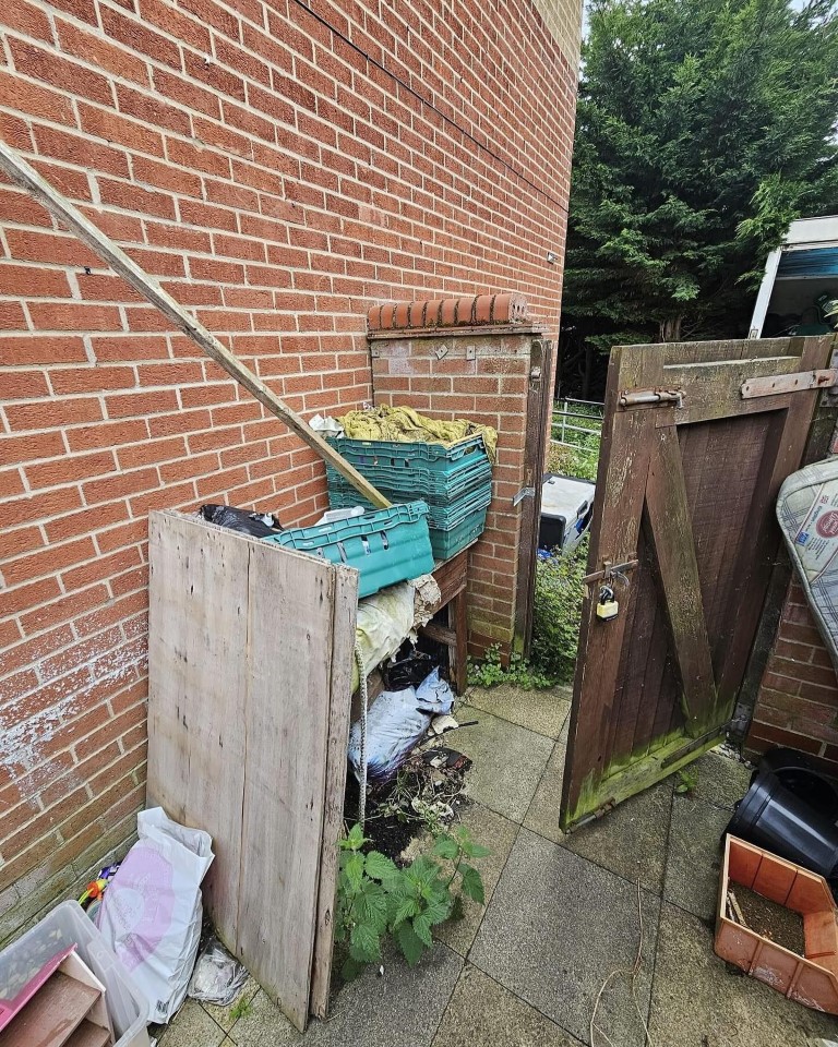 Before Image